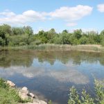 Teich an der Fuchsenwiese